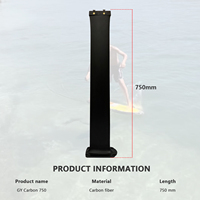GY 75 -- 90 CM Carbon Mast Water Sports Kite and Pumping Wing Foil Kite Wave Paddle Surfing Board Surfboard for Surfing Hydrofoil