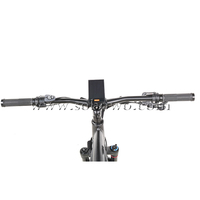 Expédition rapide VTT électrique 48v croiseur de plage électrique 1000w Bafang M620 vélo électrique à gros pneus à entraînement moyen