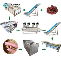 Automatische complete verwerkingslijn voor dadels: wassen, ontpitten, pulperen, productielijn voor dadelpasta/siroop