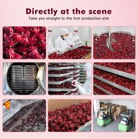 Fleurs d'hibiscus séchées pour le thé, qualité supérieure, approvisionnement direct d'usine
