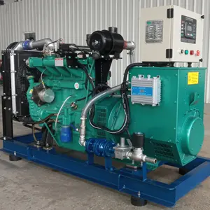 Fabriek Directe Verkoop 50kw Aardgas Biogas Generator Set