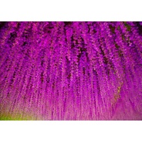 Fleurs artificielles en gros, glycines suspendues, vigne de glycine pour la décoration de mariages et la décoration intérieure