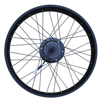 Kit de conversion de vélo électrique à neige avec moteur de moyeu de roue de 20 pouces CZJB-110C 48V 500W
