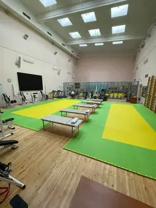 Pronto per la spedizione Top in gomma EVA Foam Exercise Gym Mats piastrelle per pavimenti Puzzle ad incastro per pavimenti in palestra di casa karate tatami mat