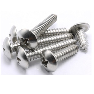 Tornillo <span class=keywords><strong>Autorroscante</strong></span> de Cabeza Redonda Ovalada Phillips de Acero Inoxidable 304 18-8, Tipo A, <span class=keywords><strong>para</strong></span> <span class=keywords><strong>Chapa</strong></span> Metálica y Madera - Product Image 3