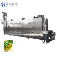 Machine extrudeuse automatique de chips de pois et de snacks soufflés avec une capacité de 150 à 500 kg/h pour la fabrication de produits céréaliers