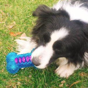 Jouets interactifs pour animaux de compagnie, jouets résistants aux morsures avec cordes et os en TPR pour chiens - Product Image 2