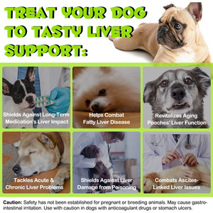Oimmal <span class=keywords><strong>Pet</strong></span> Liver Support Chews promueve un hígado saludable Multifuncional Hepate Support Chews para perros - Product Image 4