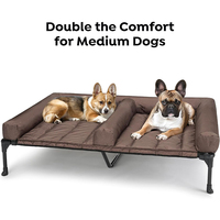 SUREWALHOME Lit surélevé pour chien avec traversin amovible, canapé-lit surélevé pour chien pour 2 chiens hors sol, lits doubles surélevés pour animaux de compagnie