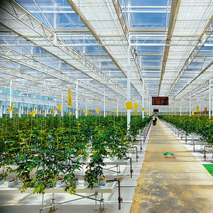 Custom-Designed Curved PC Board <b>Greenhouse</b> with Solar Power, Anti-Condensation Film & Noise Insulation for Herb Cultivation - Product Image 4