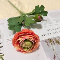 F-R01127 bunga Botan kecil 2 kepala, bunga Peony sutra buatan sentuhan asli untuk dekorasi pesta rumah pernikahan bunga Ranunculus