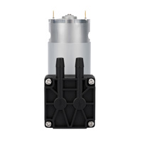5V 12V 24V moteur à courant continu agriculture basse pression nourriture médicale beauté extérieure vide péristaltique diaphragme micro pompe mini pompe à air