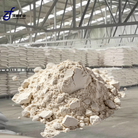 Poudre de Bentonite ZF-31 100% Bentonite Pureté 98% Vente Directe Usine Haute Blancheur Origine Hebei Approvisionnement Immédiat Fonderie