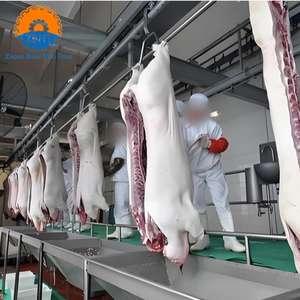 Attrezzatura Completa per la Macellazione di Suini per Mattatoi, Macchinari ad Alta Capacità per la Lavorazione della Carne Suina con Motore e Cuscinetti, Design Personalizzabile - Product Image 3