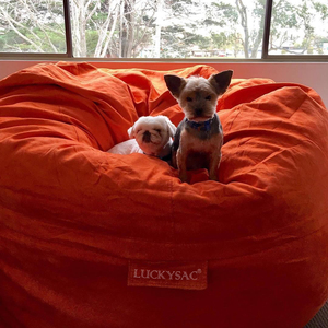 Consegna Rapida dalla Fabbrica Poltrona a Sacco in Poliestere 420D a Forma di Palla Imbottita con Memory Foam per Bambini - Product Image 5