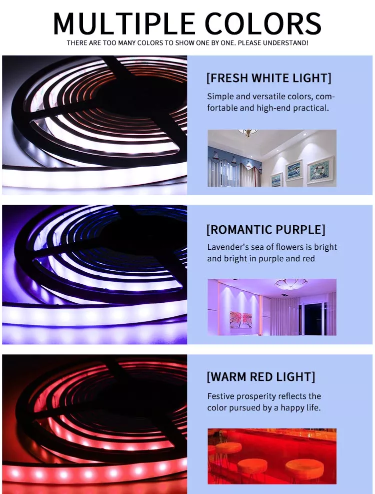 Customized 10*23mm rgbic Led Silicone Neon Light waterproof Neon Strip Indoor or Outdoor Decor