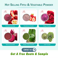 Échantillon Gratuit Vente en Gros Poudre de Betterave Rouge 100% Pure et Naturelle de Qualité Alimentaire Emballage en Fût Extraite par Solvant