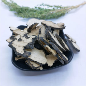 Zhu Ling, Champignon à Pores Ovales Chinois, Polyporus <span class=keywords><strong>Umbellata</strong></span> Séché - Product Image 5