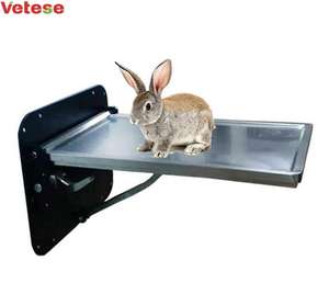 Mesa de cirugía ortopédica hidráulica para mascotas, mesa de operaciones para animales Y Veterinaria, instrumento veterinario - Product Image 5