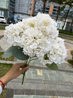 Hydrangea artificielle en soie à 5 têtes, toucher réel, décoration de table pour la maison et les mariages