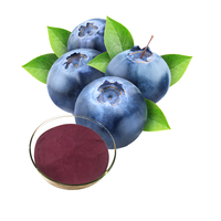 Puur Bosbessenextract Poeder 25% 95% Anthocyaan Natuurlijk Plantenextract
