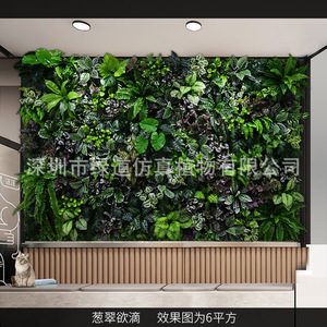 ผนังต้นไม้ประดิษฐ์กรีนเวย์ 6 ตารางเมตร ตกแต่งสวนในร่มให้ดูเขียวขจี - Product Image 1
