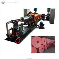 Ligne de production d'extrusion de feuilles de mousse PS pour pantoufles jetables