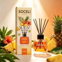 Diffuseur de parfum à bâtonnets sans alcool et non toxique de 120 ml, parfum intense et longue durée, bouteille en verre, parfum d'ambiance pour la maison, Chine