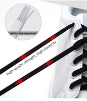 Lacets paresseux Lacets magnétiques rapides colorés Lacets de chaussures élastiques Lacets magnétiques plats sans attache