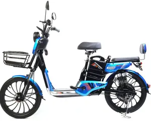 Wholesale of Factory Direct Electric Bicycles with Two Wheels Adult High Carbon Steel Adult 48V Electric Bicycles