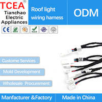 Faisceau de câbles automobile personnalisé DE09 pour lampe de toit avec connecteur 1612035-1 et terminal 1674742-1 pour câble de production en usine