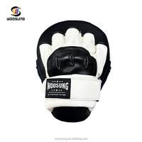 Échantillon gratuit, livraison gratuite, nouveau modèle, vente flash : Machine de boxe murale avec coussin de frappe en promotion