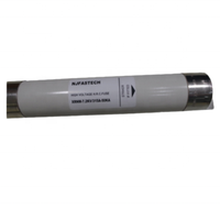 Fusible haute tension série XRNP1-12, 3,15 A, 12 kV, protection contre les surtensions, protection PT, protection contre les surcharges