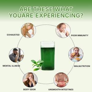 Poudre de Chlorophylle OEM avec Herbe de Blé, Fruit du Moine et Pomme Croustillante pour l'Alcalinisation, la Santé Intestinale et l'Énergie Propre - Product Image 4
