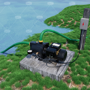 Machine de pompage de l'eau pompe à jet d'eau haute pression pompes à jet à puits peu profond en fonte - Product Image 4