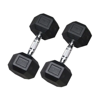 Set Dumbbell Hexagonal Berlapis Karet Profesional untuk Latihan Kekuatan di Gym - Anti-Selip, Tahan Lama, Pegangan Nyaman yang Dapat Disesuaikan, Unisex