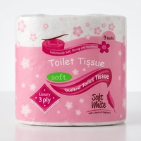 Papier toilette jetable ultra doux 2 plis, de bonne qualité, résistant, écologique et biodégradable, fabriqué en Chine.