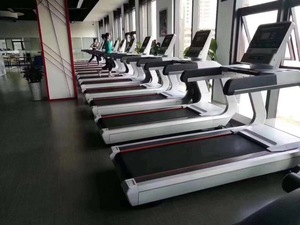 ยิมใหม่มาแรง ราคาประหยัด อุปกรณ์ฟิตเนส Shandong Techfit อุปกรณ์ออกกำลังกาย อุปกรณ์ฟิตเนส อุปกรณ์ฟิตเนส อุปกรณ์ฟิตเนส - Product Image 3