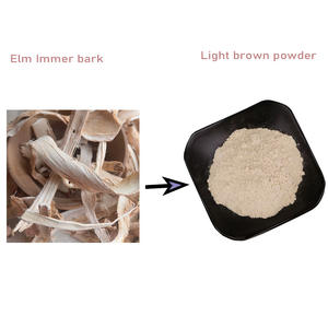 OEM Label pribadi alami kulit mentah Herbal bubuk 10:1 licin mentah alami bubuk kulit kayu <span class=keywords><strong>Elm</strong></span> - Product Image 2
