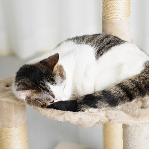 Cat Tree 2 Levels Beige <b>Hammock</b> Sisal Scratching Post For Cats - Product Image 4