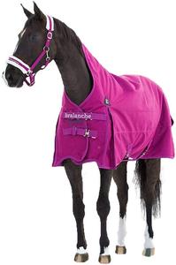 <span class=keywords><strong>Couverture</strong></span> de <span class=keywords><strong>cheval</strong></span> de polyester ou manteau de <span class=keywords><strong>cheval</strong></span> de feuille de mouche de <span class=keywords><strong>cheval</strong></span> - Product Image 6