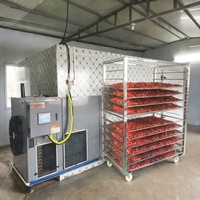 Machine de séchage de piments rouges à économie d'énergie Hello River, déshydrateur de légumes et fruits, sécheuse de grains de café avec pompe et contrôle PLC