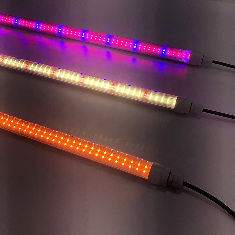 Led 400nm 700nm White Blue and