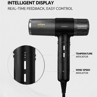 Sèche-cheveux ionique compact 2000W haute vitesse pour voyages, camping-car, hôtel et usage domestique