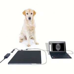 Con chó Xray 5.6KW Màn hình LCD di động x Ray máy tần số cao xách tay X-Ray giá máy - Product Image 2