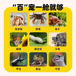Kodak Conteneur écologique pour enfants, aquarium rectangulaire en plastique transparent pour l'observation de la croissance des crabes ermites et des tortues - Product Image 1