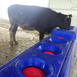 Sưởi ấm dê trang trại tự động uống nước gia súc nước ấm máng - Product Image 5