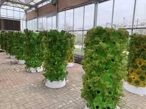 Sistemas de Cultivo Automático One One, Torre Hidropónica Vertical Inteligente de Bajo Costo - Product Image 4