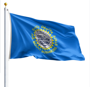 Drapeau personnalisé de Caroline du Sud (États-Unis) en polyester écologique pour affichage intérieur/extérieur avec œillets en laiton – Bannière design - Product Image 2