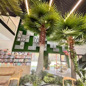 Tùy Chỉnh Lớn Giả Cây Cọ Nhân Tạo Cây Cọ UV Chứng Nhận Lớn Nhân Tạo Trang Trí Cây - Product Image 2